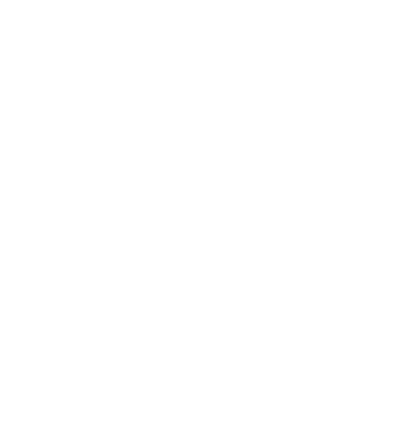 Grupo Lever